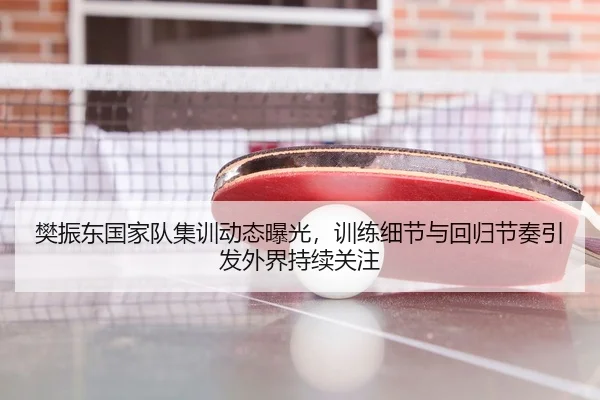樊振东国家队集训动态曝光，训练细节与回归节奏引发外界持续关注